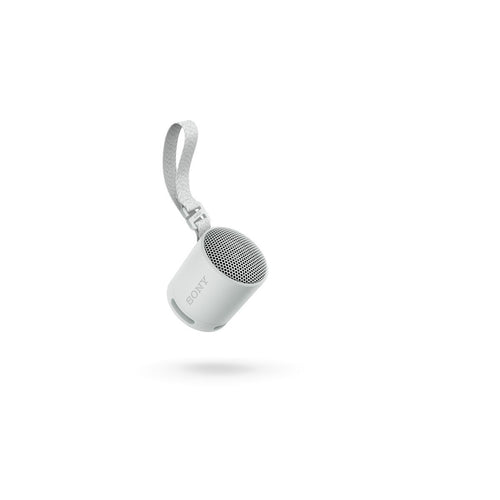 Altavoz Bluetooth Portátil Sony SRS-XB100 – Gris