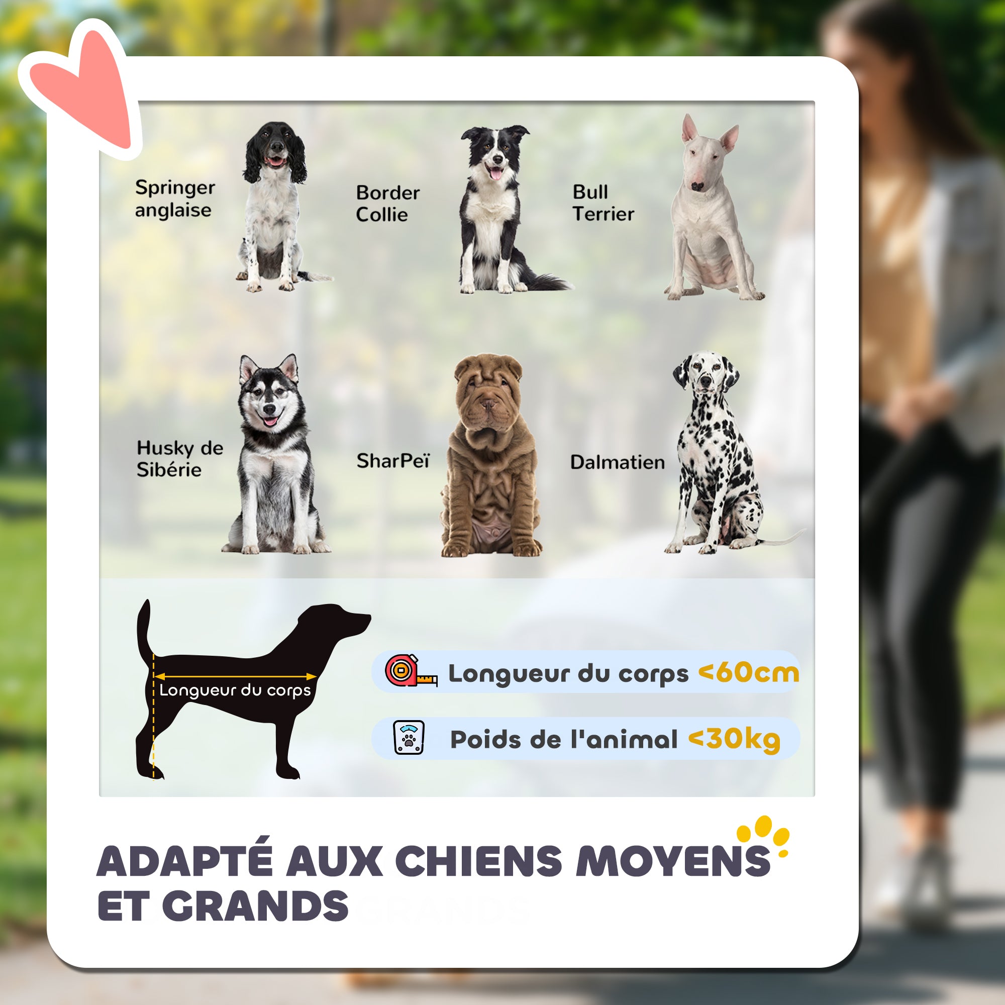 Cochecito Plegable PawHut para Perros y Gatos hasta 30 kg