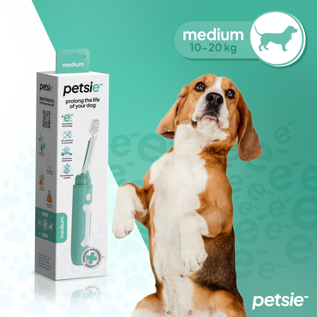 Cepillo Dental Petsie para Perros 10–20 kg – Talla M