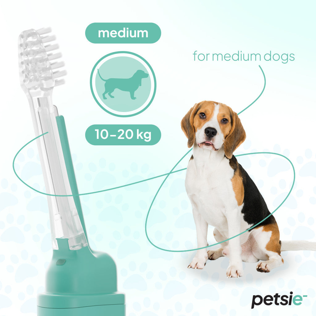 Cepillo Dental Petsie para Perros 10–20 kg – Talla M