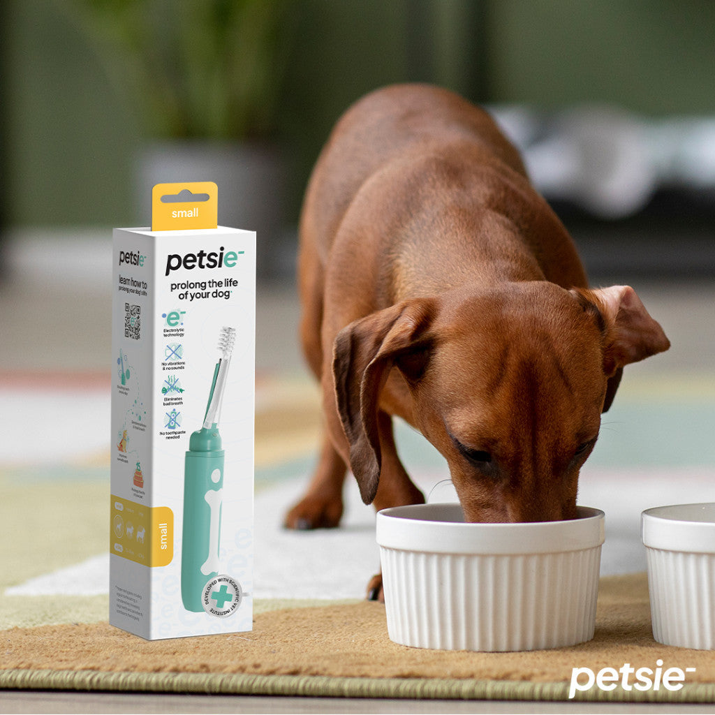 Cepillo Dental Petsie para Perros 10–20 kg – Talla M