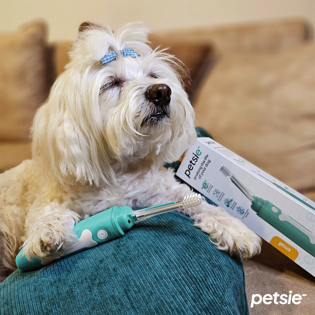Cepillo Dental Petsie para Perros 10–20 kg – Talla M