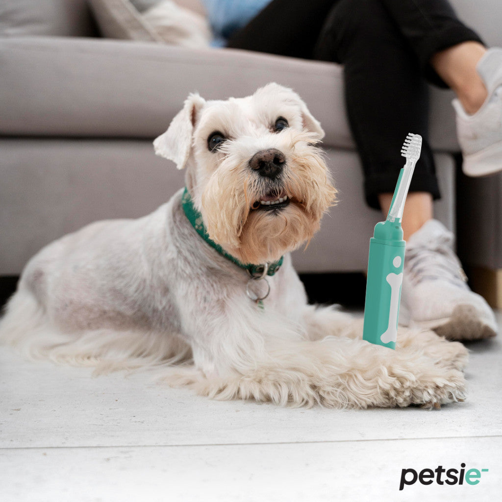 Cepillo Dental Petsie para Perros 10–20 kg – Talla M