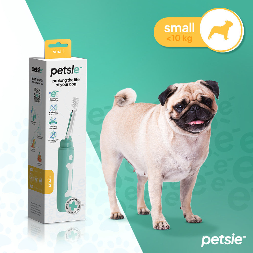 Cepillo Dental Petsie para Perros 10–20 kg – Talla M